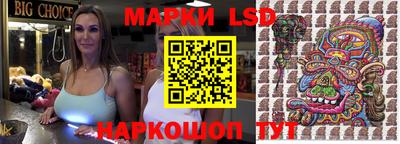 PSILOCYBIN Можга