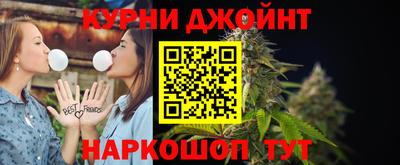 индика Моздок