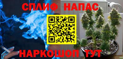 индика Моздок