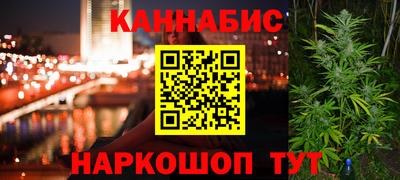 индика Моздок
