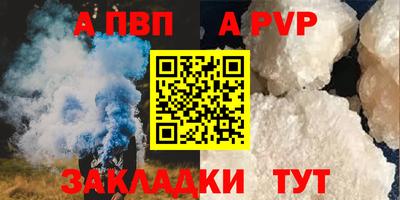 PSILOCYBIN Можга