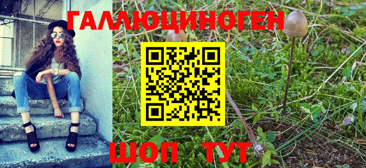 Псилоцибиновые грибы прущие грибы  Вход с VPN  Галлюциногенные грибы Psilocybe  Севастополь 