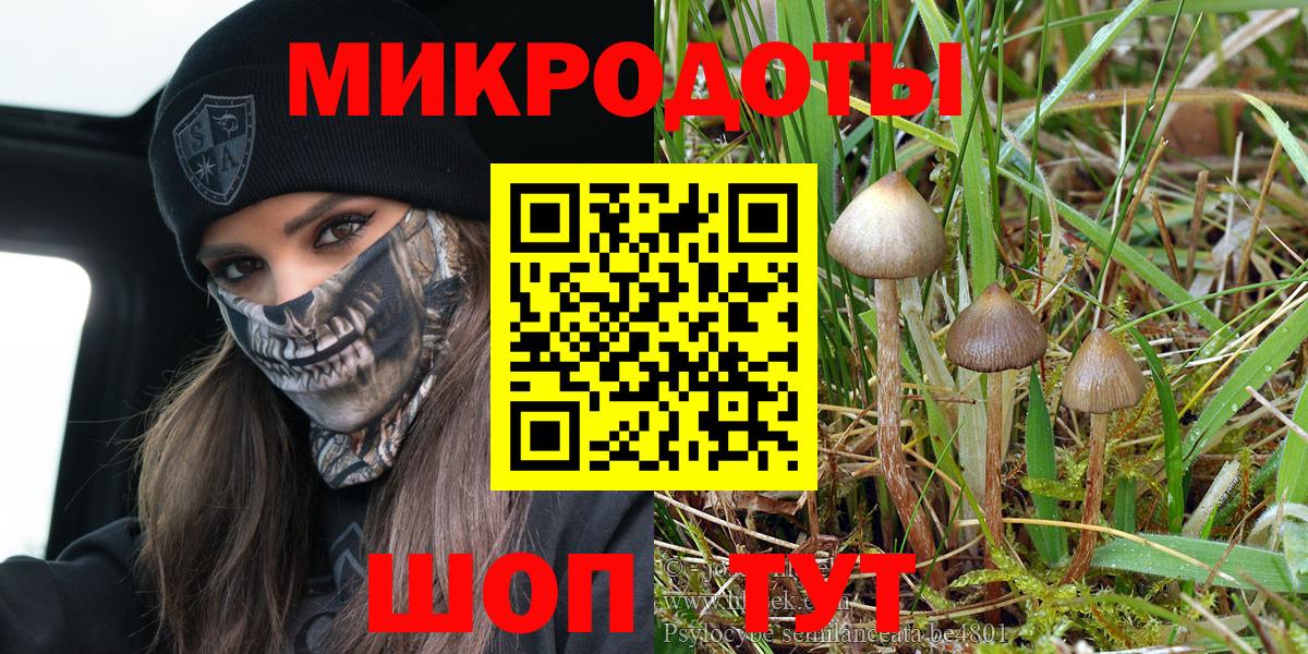 Псилоцибиновые грибы Cubensis Севастополь